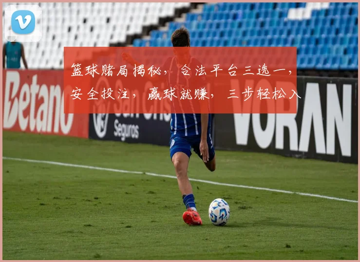 篮球赌局揭秘，合法平台三选一，安全投注，赢球就赚，三步轻松入门，快来看看吧