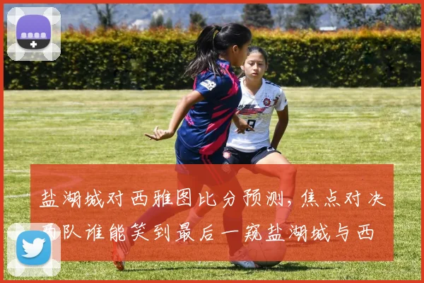 盐湖城对西雅图比分预测,焦点对决两队谁能笑到最后一窥盐湖城与西雅图之战悬念