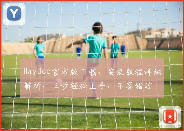 Haydee官方版下载，安装教程详细解析，三步轻松上手，不容错过